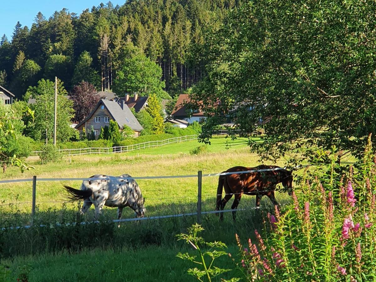 Ferienwohnung Hitz Hinterzarten Exterior foto